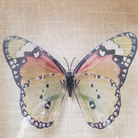 B3 Threshold 1 Large Faux Butterly Shadow Box - Picture 2 of 7